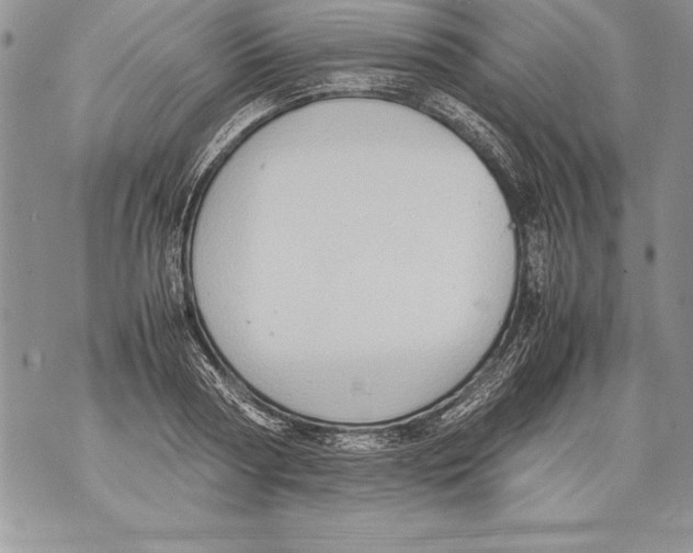 X0000070870794200607150120