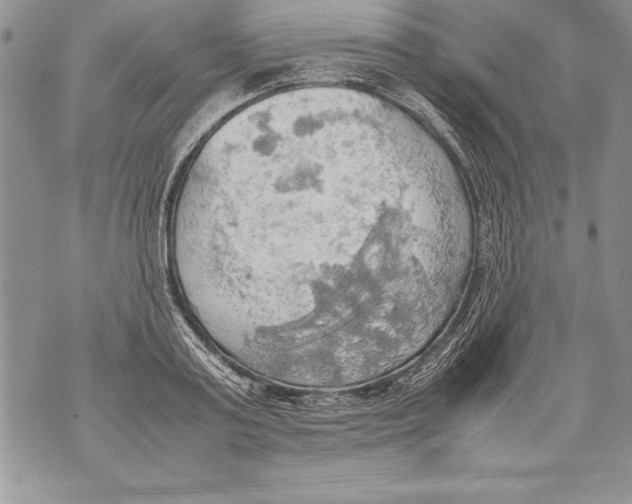 X0000070870795200607150120