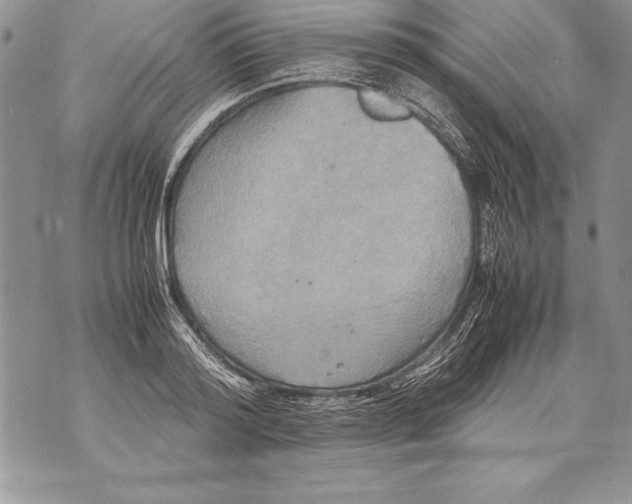 X0000070870796200607150120