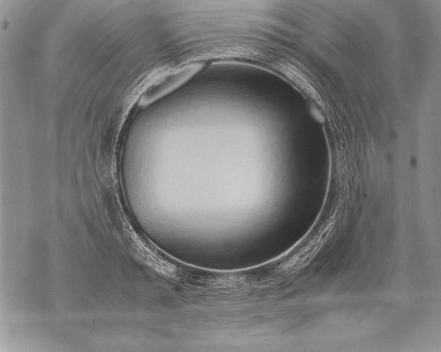 X0000070870797200607150120