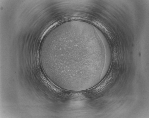 X0000070870798200607150120