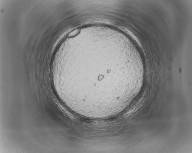 X0000070870799200607150120