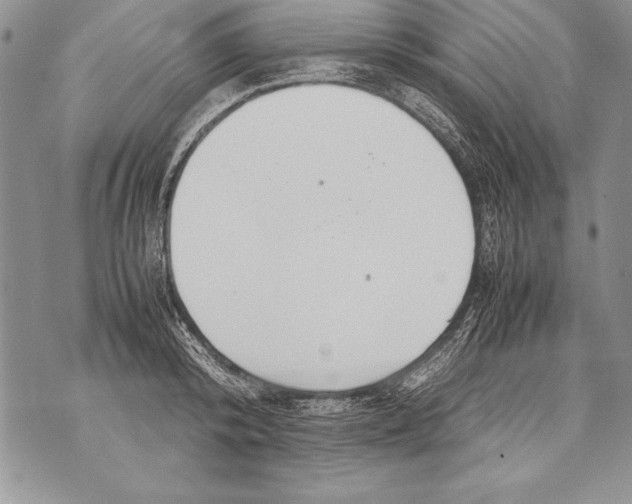 X0000070870800200607150120