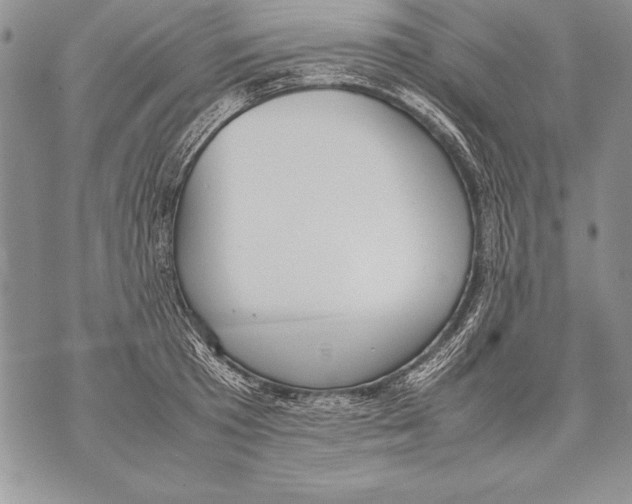 X0000070870801200607150120