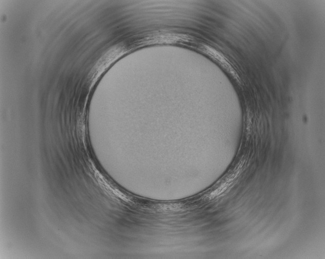 X0000070870802200607150120