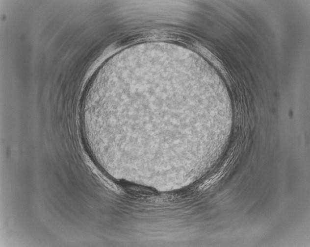 X0000070870803200607150120