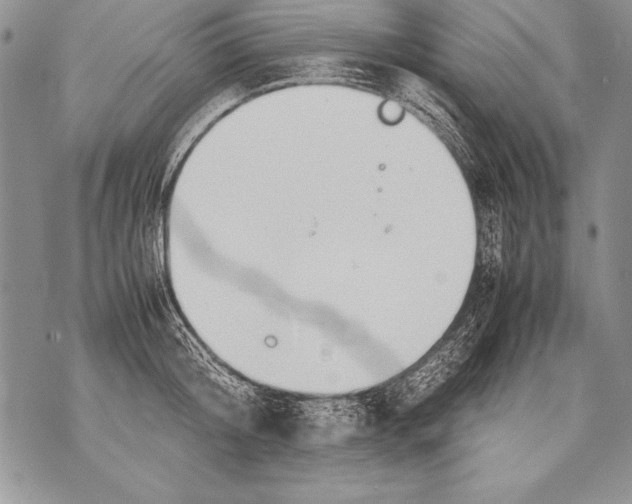 X0000070870804200607150120