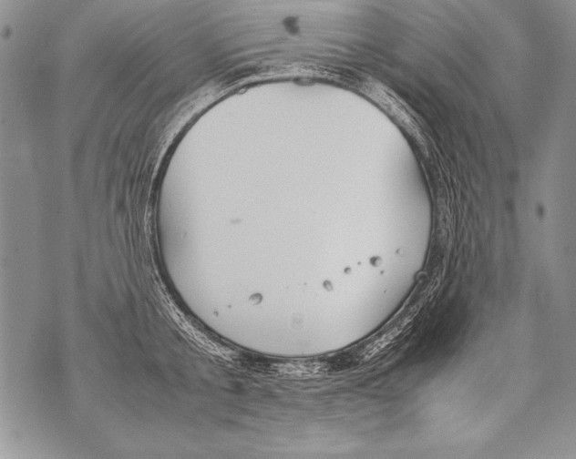 X0000070870805200607150120