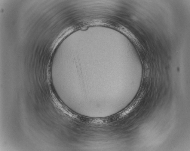 X0000070870806200607150120