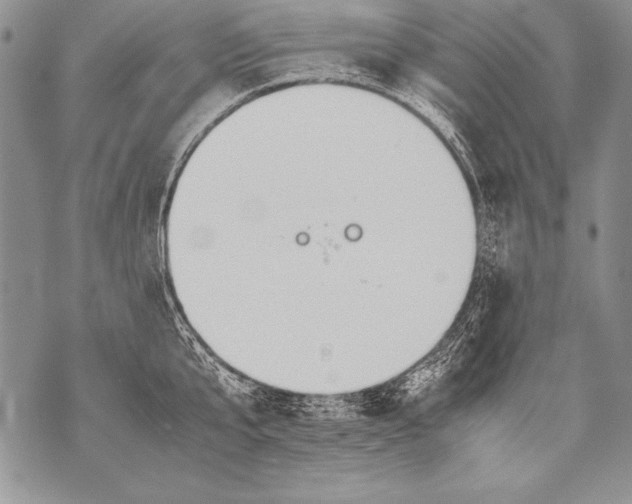 X0000070870807200607150120