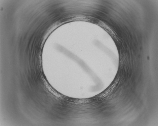 X0000070870808200607150120