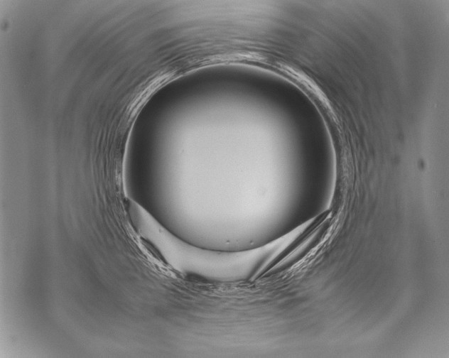 X0000070870809200607150120