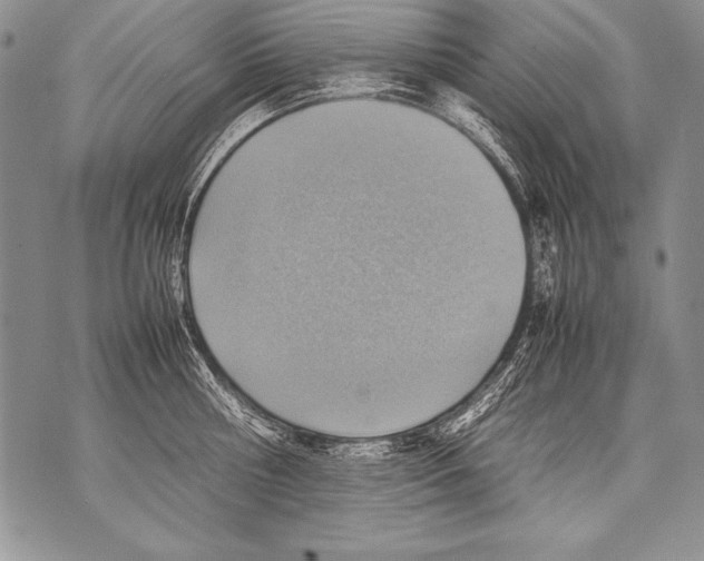 X0000070870810200607150120