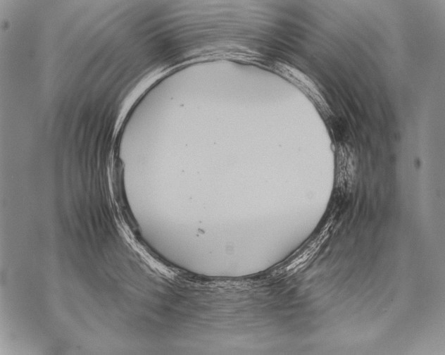 X0000070870812200607150120