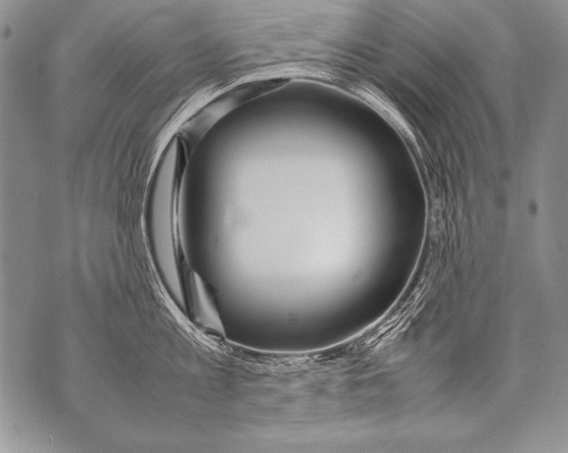 X0000070870813200607150120