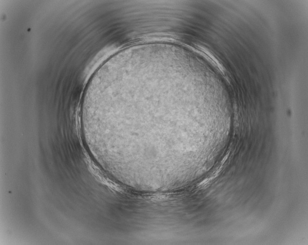 X0000070870814200607150120