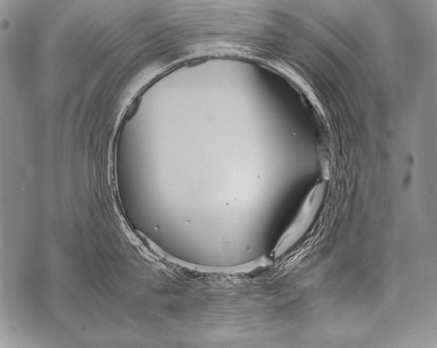 X0000070870815200607150119