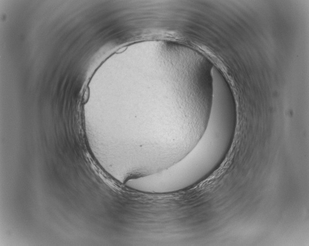 X0000070870816200607150119