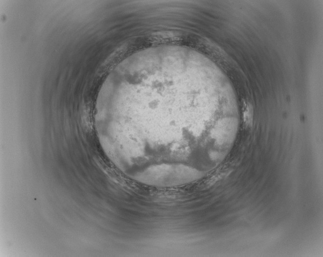 X0000070870819200607150119