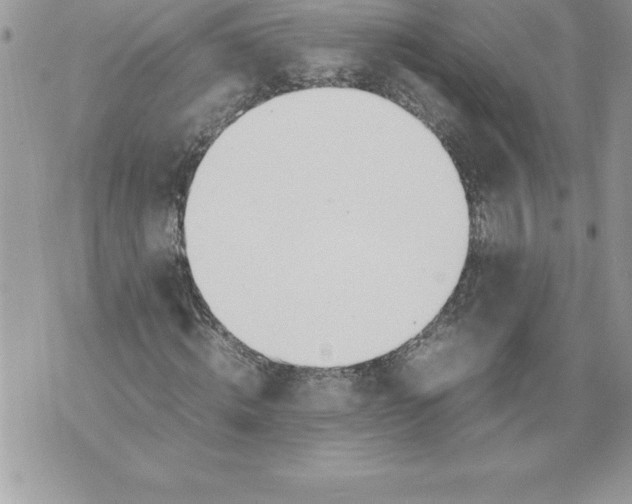 X0000070870820200607150119