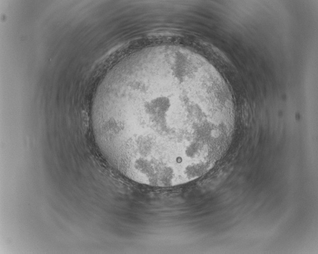 X0000070870821200607150119