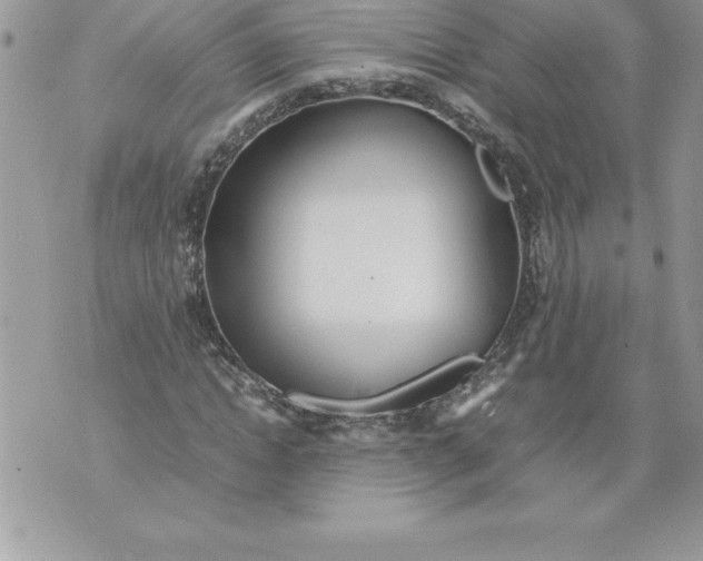 X0000070870822200607150119