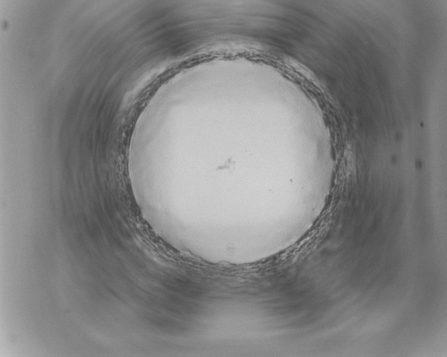 X0000070870824200607150119