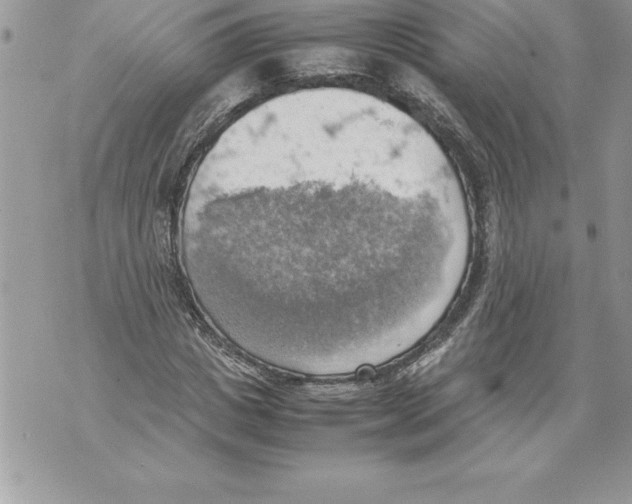 X0000070870825200607150119