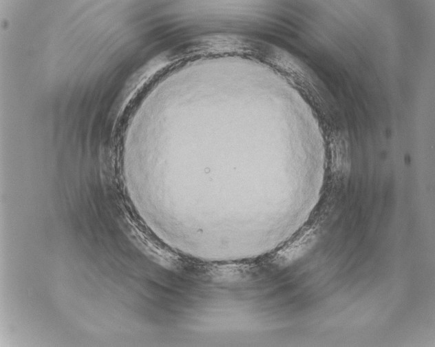 X0000070870828200607150119