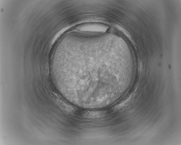 X0000070870829200607150119