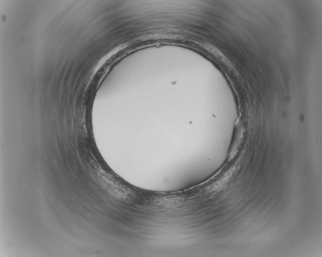 X0000070870830200607150119