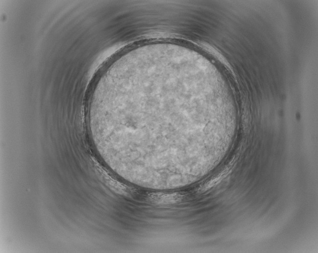 X0000070870831200607150119