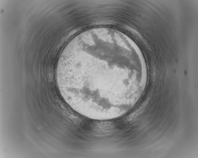 X0000070870833200607150119