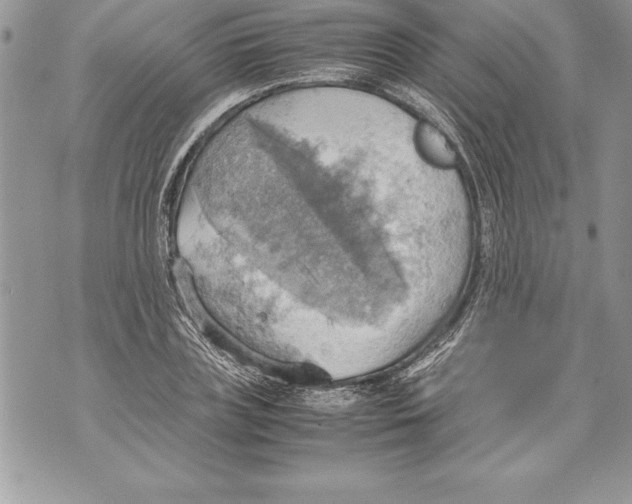 X0000070870835200607150119