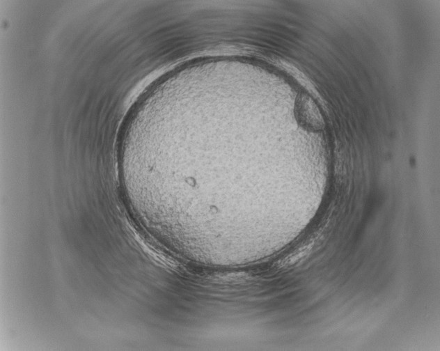 X0000070870837200607150119