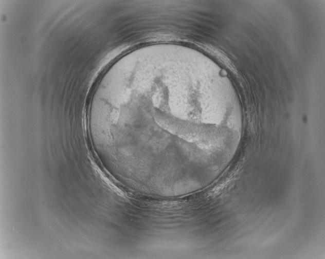 X0000070870839200607150119