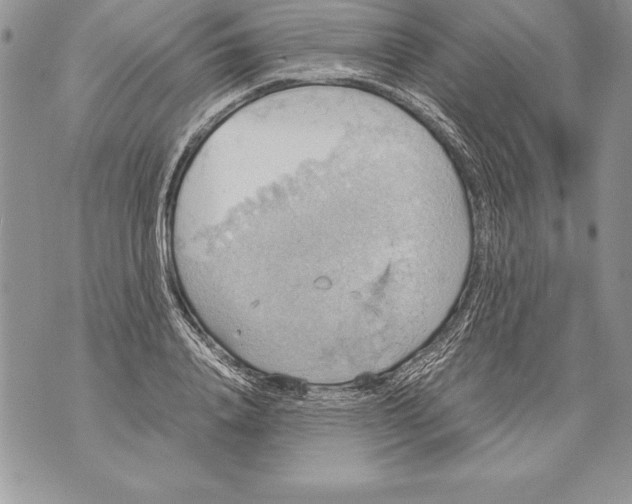 X0000070870840200607150119