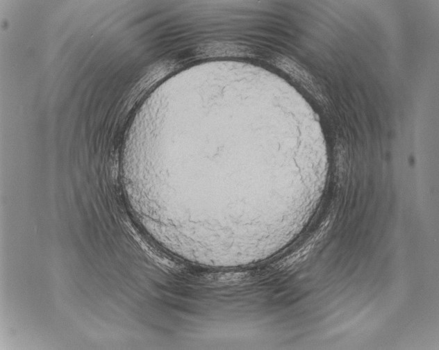 X0000070870841200607150119