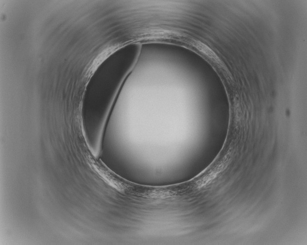 X0000070870842200607150119