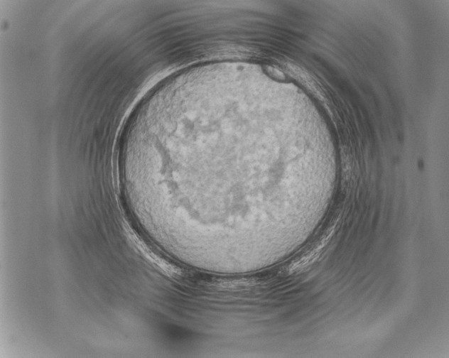 X0000070870843200607150119