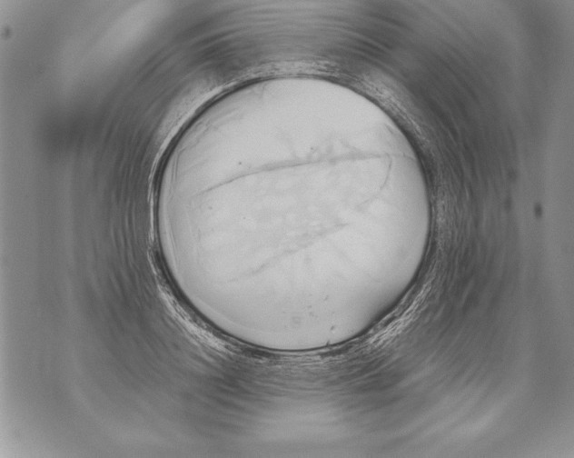 X0000070870844200607150119