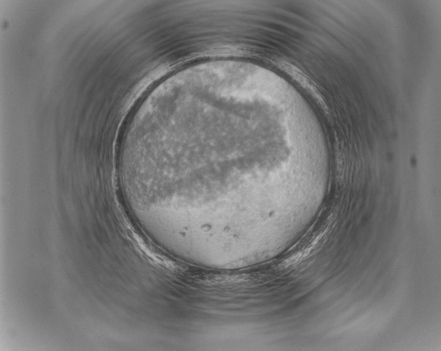 X0000070870845200607150119