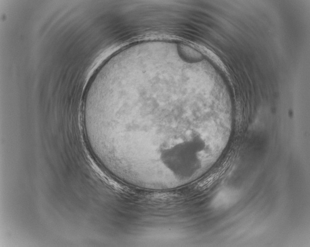 X0000070870847200607150119