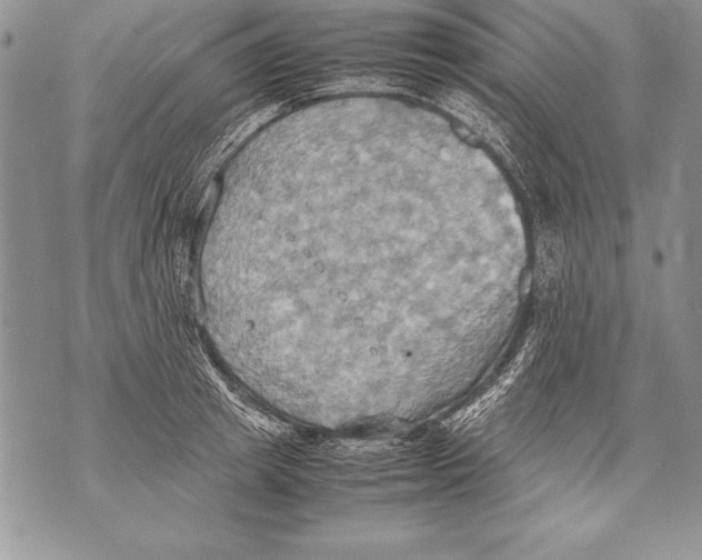 X0000070870849200607150119