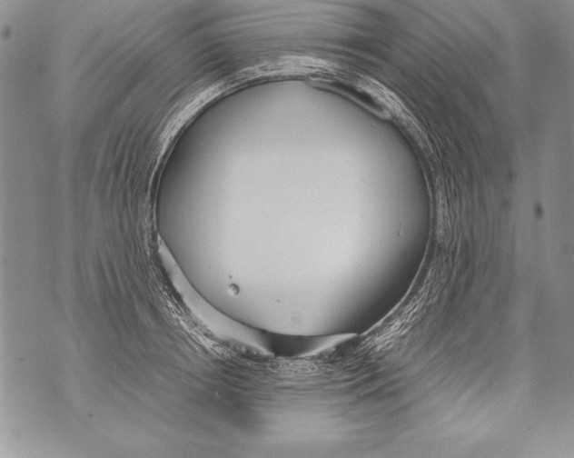 X0000070870850200607150119