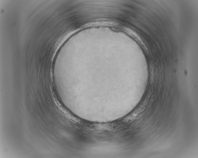 X0000070870852200607150119