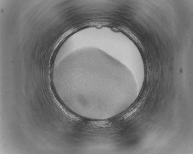 X0000070870853200607150119