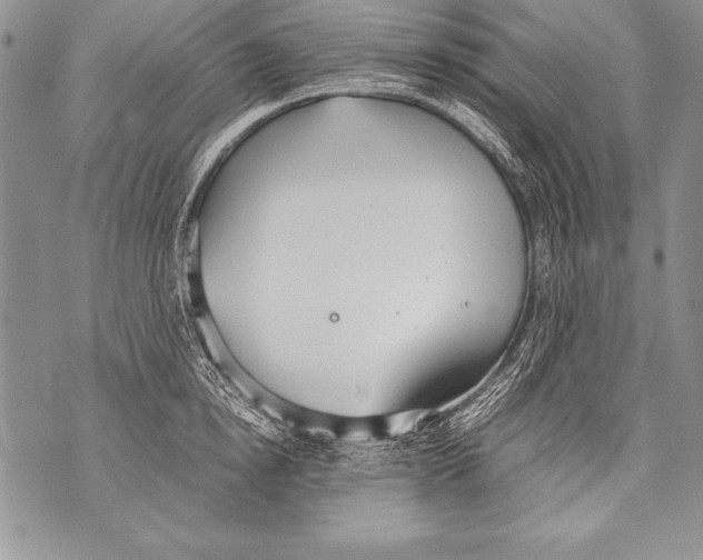 X0000070870854200607150119