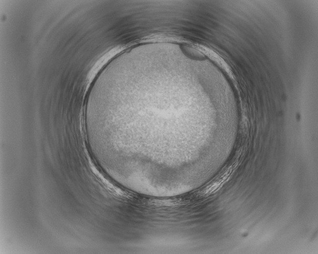 X0000070870855200607150119