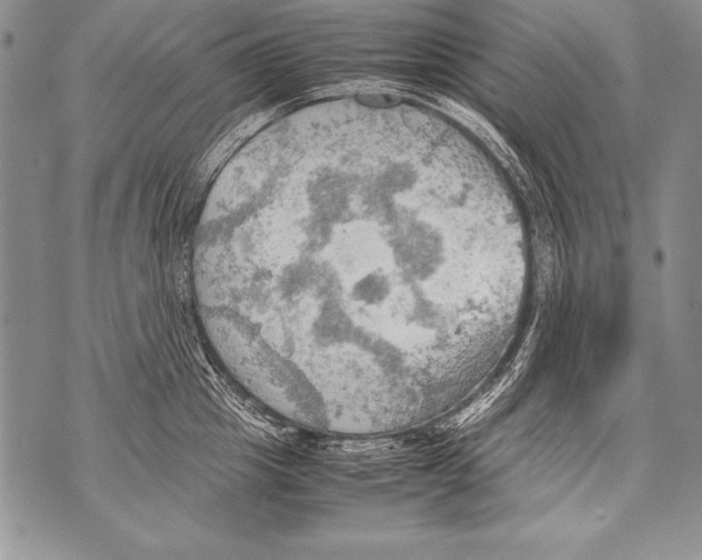 X0000070870857200607150119